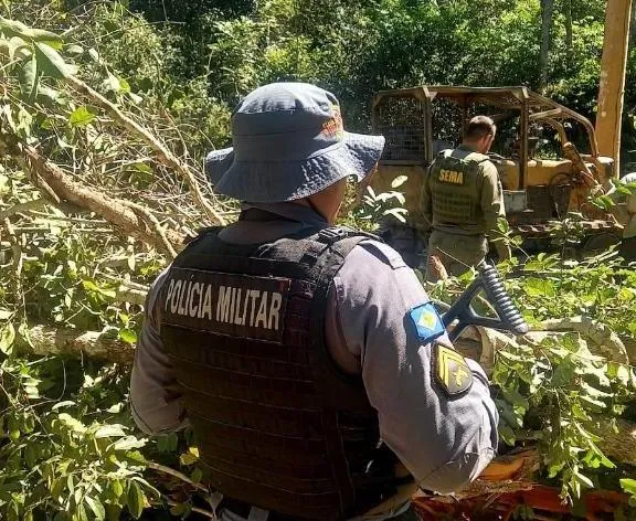 Fiscalização Ambiental em MT Resulta em Multas Milionárias