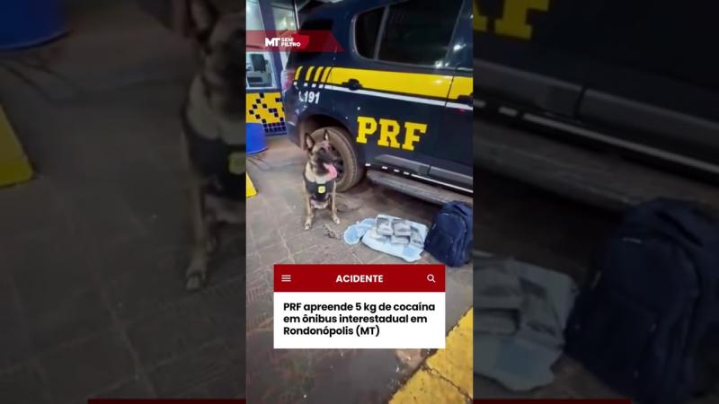 PRF apreende 5 kg de cocaína em ônibus interestadual em Rondonópolis