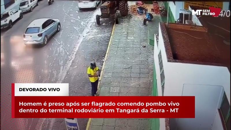  Homem é preso após comer pombo vivo em Tangará da Serra - MT